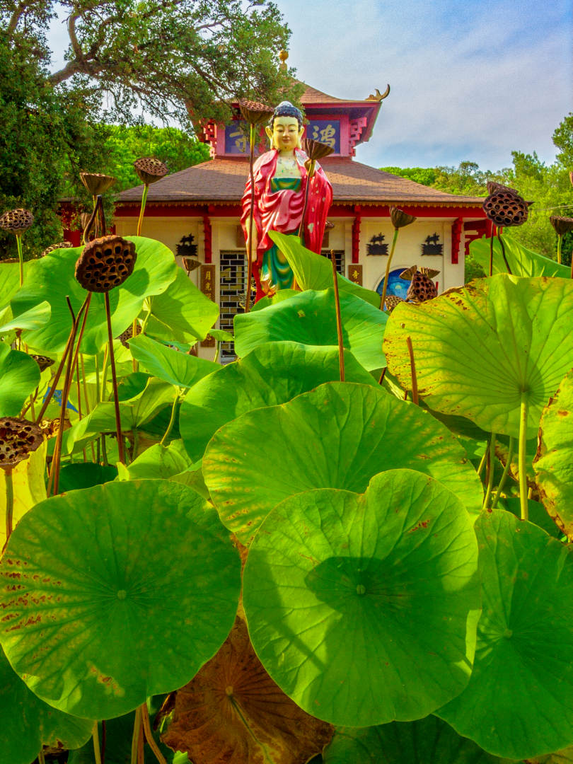 JARDIN & ENVIRONNEMENT